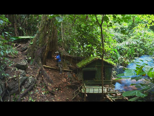 FULL VIDEO 300 days Survive in the rainforest. Build bushcraft shield, sleeping in the deep forest. SDDEFAULT Thumbnail