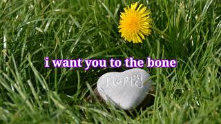 Download lagu To the Bone - Pamungkas (lirik cover Pop punk) mp3