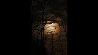 L'UNIVERS DE BRESLEV