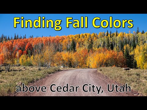 image-Where do gnats come from in Utah?