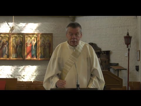 Rozenkrans bidden - Adri van Zundert - Glorievolle Geheimen - Zo. 31 mei - 50 Maria afbeeldingen.