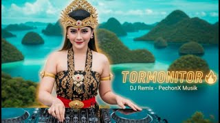 Download lagu Tor Monitor Ketua DJ  EDM  Remix #dj #dance mp3
