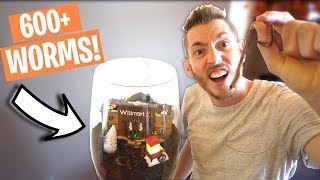 BUYING ALL THE WORMS FROM WALMART!