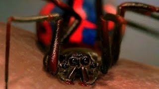 Re: [討論] 外國片都不會遮車牌