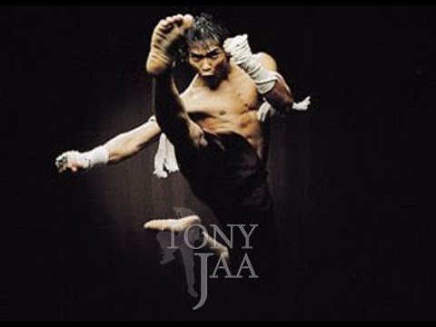 Tony Jaa - HD - L Honneur Du Dragon 2005 - Combat