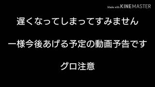 新動画予告編