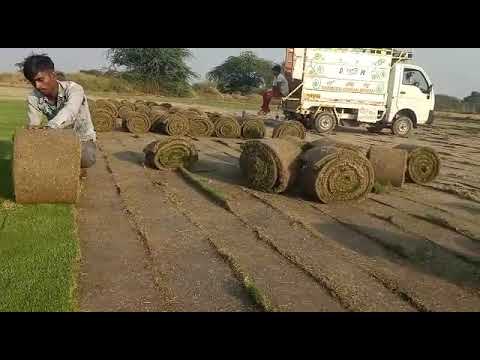 Videos from Balaji Nursery