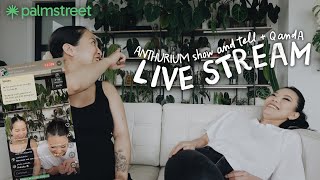 anthurium Q&A + show & tell with @youdontevengrowhere on the palm street app!