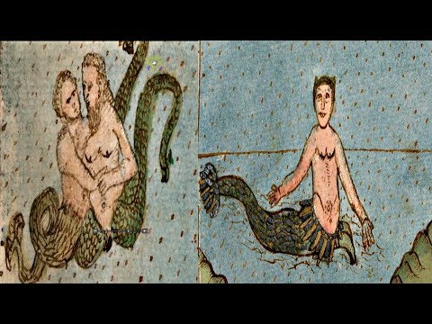 Камасутра для русалок! Что за звери на этой карте?