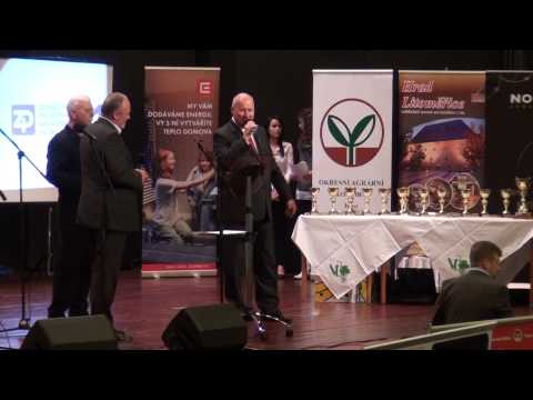 LITOMĚŘICE: 12. ročník Vinařských Litoměřic