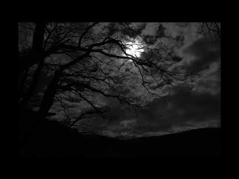 Lars Falk - See My Friend Fall