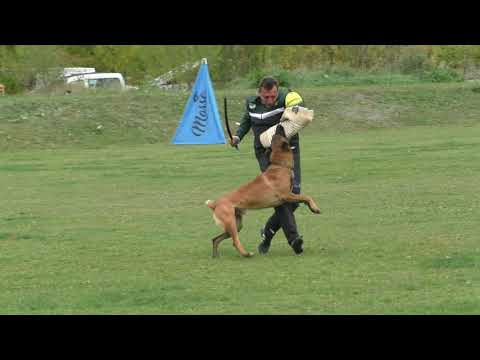 MM MSKS Zbraslav 2022 - Josef Vanda - Atrey Fiera Vulpo - obrana/defense