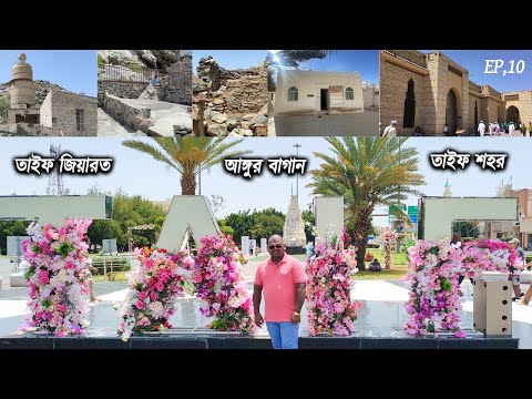 তাইফ জিয়ারত আঙ্গুর বাগান তাইফ শহর | Taif Ziyarat Grape graden Taif City Tour EP,10