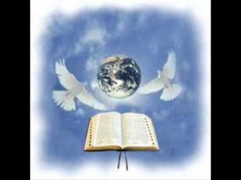 la muerte de martin   enerolisa y el grupo de salves