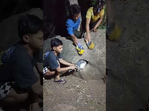 kekompakan ny Abang ini dalam nangkap ayam hutan