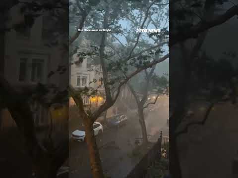 Trees fall onto parked cars as storm SLAMS NYC #foxnews #news #us #fox