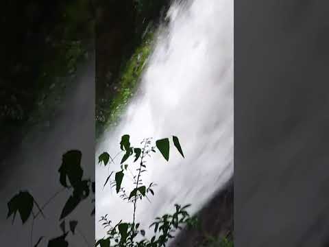 Sacred Portal – from Nara │ Seirei Falls: Rising View | YouTube Shorts