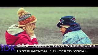 [ Instrumental ] 孫燕姿 風衣  Sun Yanzi Windbreaker (Filtered Vocal 消音伴奏)