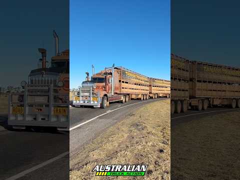 Tanami Kenworth C509 triple road train turning!