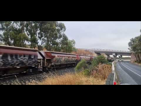 SSR Tocumwal Grain at Murchison with B80 and B76.