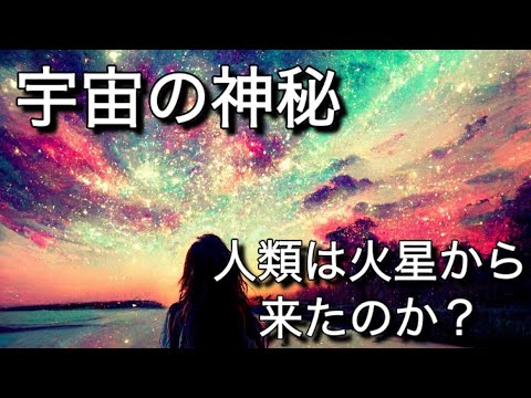 火星からの隕石を調査:その中身は驚くべきもの – 「並外れた」