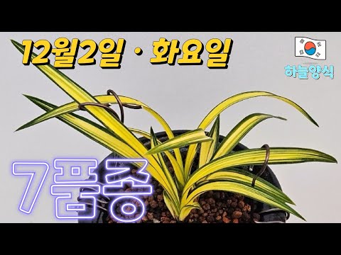 유튜브 썸네일