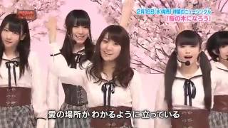 akb48 - sakura no ki ni narou Live