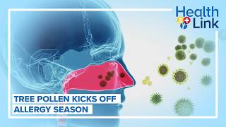 Allergy season kicks off with tree pollen influx: HealthLink