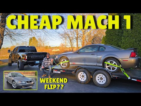 I Bought A CHEAP + NEGLECTED Mach 1 Mustang: Can I Fix And Flip In One Weekend??!!