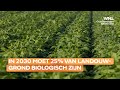 Brussel pompt miljarden in biologische landbouw: 'Over dit tempo gaat een enorme discussie komen'