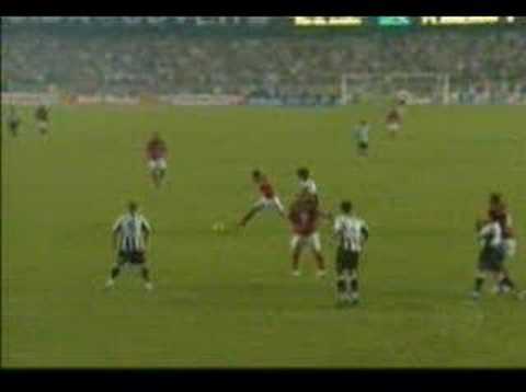 Flamengo Campeão Carioca 2007