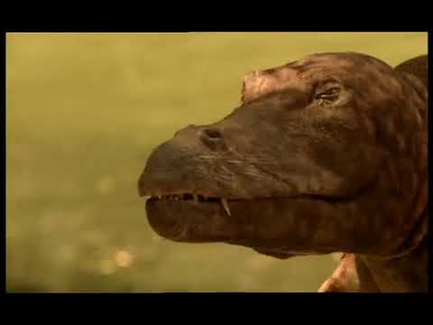 Walking with Beasts Se1 - Ep01 New Dawn - Part 06