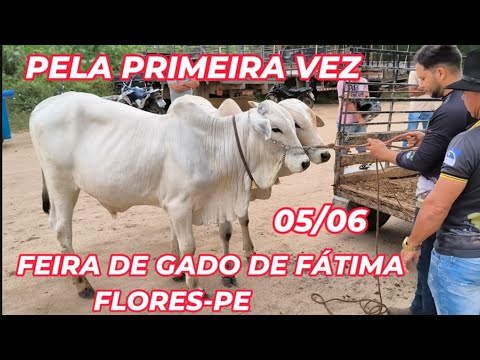 Feira de gado de Fátima, Flores-PE (05/06/26)