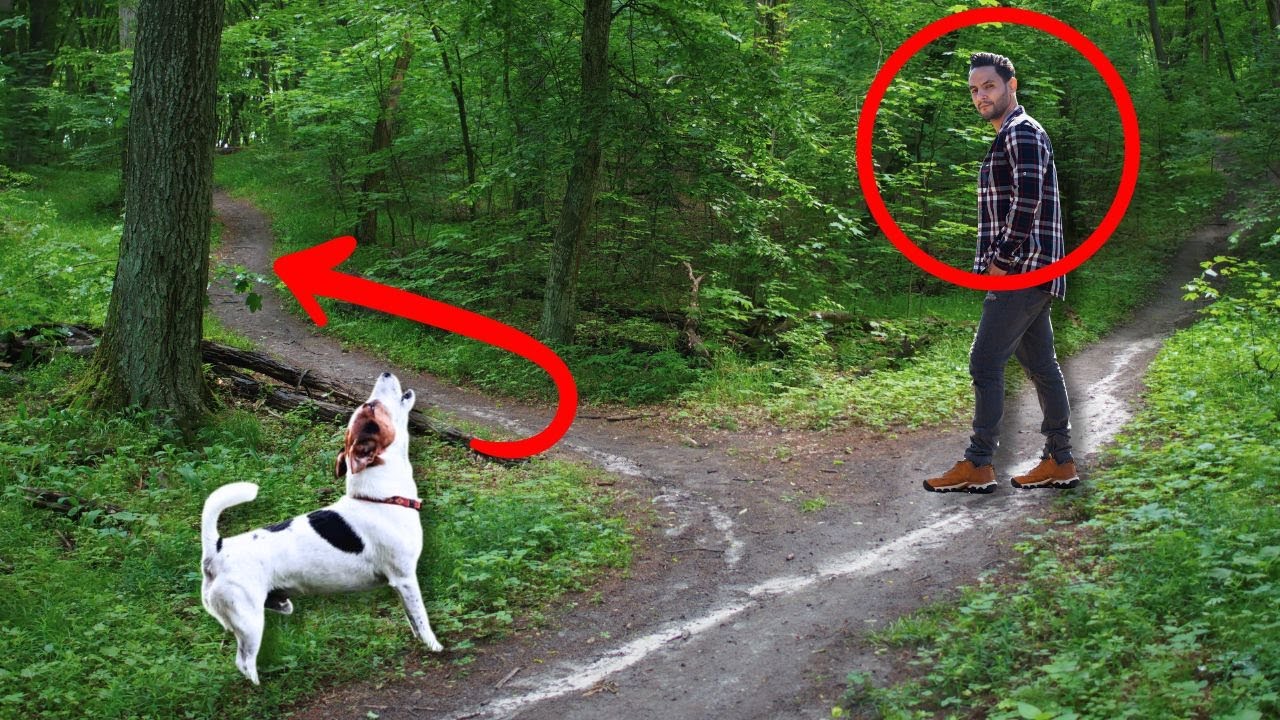 YouTube Thumbnail Downloader FULL HQ IMAGE