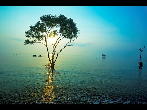 Mặt hồ tĩnh lặng _Thầy  Ajahn Chah