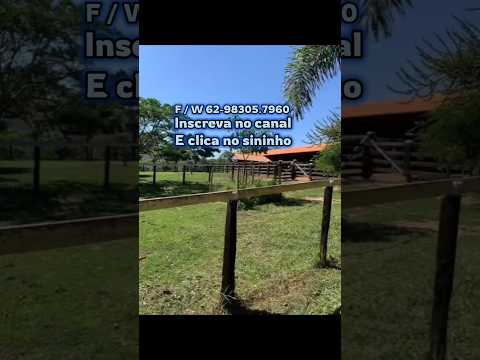 Maravilhosa fazenda em Urutai GO com 64,5 alqueires #brasil #fazenda #sitio #pecuarista #agro
