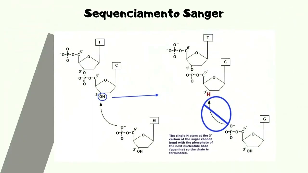 Aula sobre sequenciamento de DNA