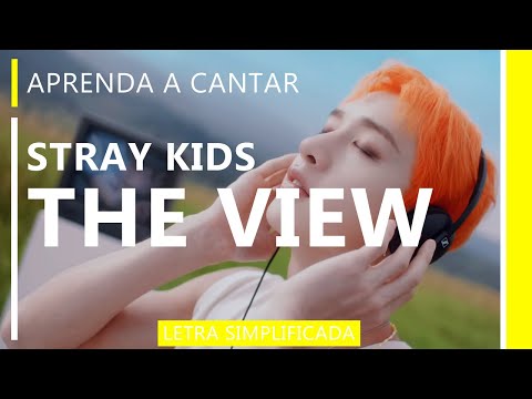 The View - Stray Kids