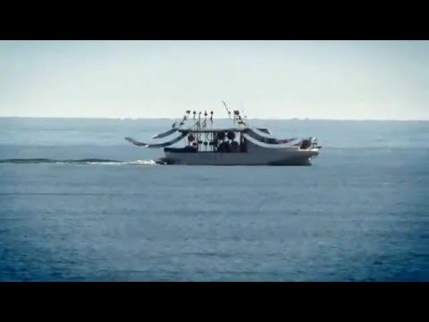 Узурпатори - [Я се разтърсете !!!]