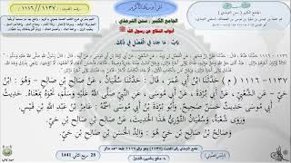 صورة شرح الجامع الكبير سنن الترمذي : باب ماجاء في الفضل في ذلك - الحديث 1137 || ماهر ياسين الفحل