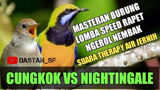 Download lagu CUNGKOK VS SIKATAN LONDO NIGHTINGALE mp3 Download lagu CUNGKOK VS SIKATAN LONDO NIGHTINGALE mp3