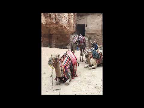 The Bedouin Sunset Sessions Volume 4