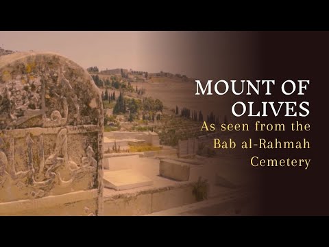 Mount of Olives as Seen From the Bab al-Rahmah Cemetery
