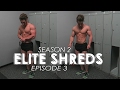 PHYSIQUE UPDATE & Back Workout Explained