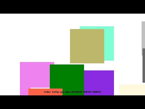 Video #sftp-gcs-pkg-20220828-100125-600523