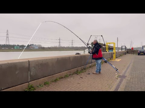 3rd TIME LUCKY? Back on the DEE ESTUARY!