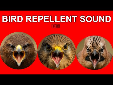 10 HOURS ANTI BIRD REPELLENT SOUND