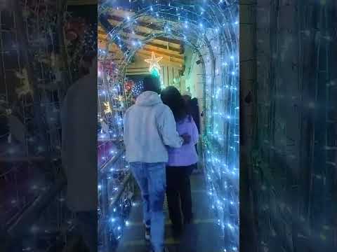 ✨🕯️ THE RADIANCE OF SABOYÁ: A Colombian Christmas Dream 🕯️✨ #aldeauniversia #vidarural #boyaca #vive