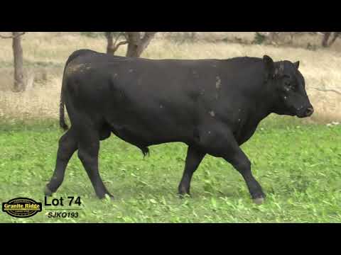 GRANITE RIDGE QUENTIN Q193