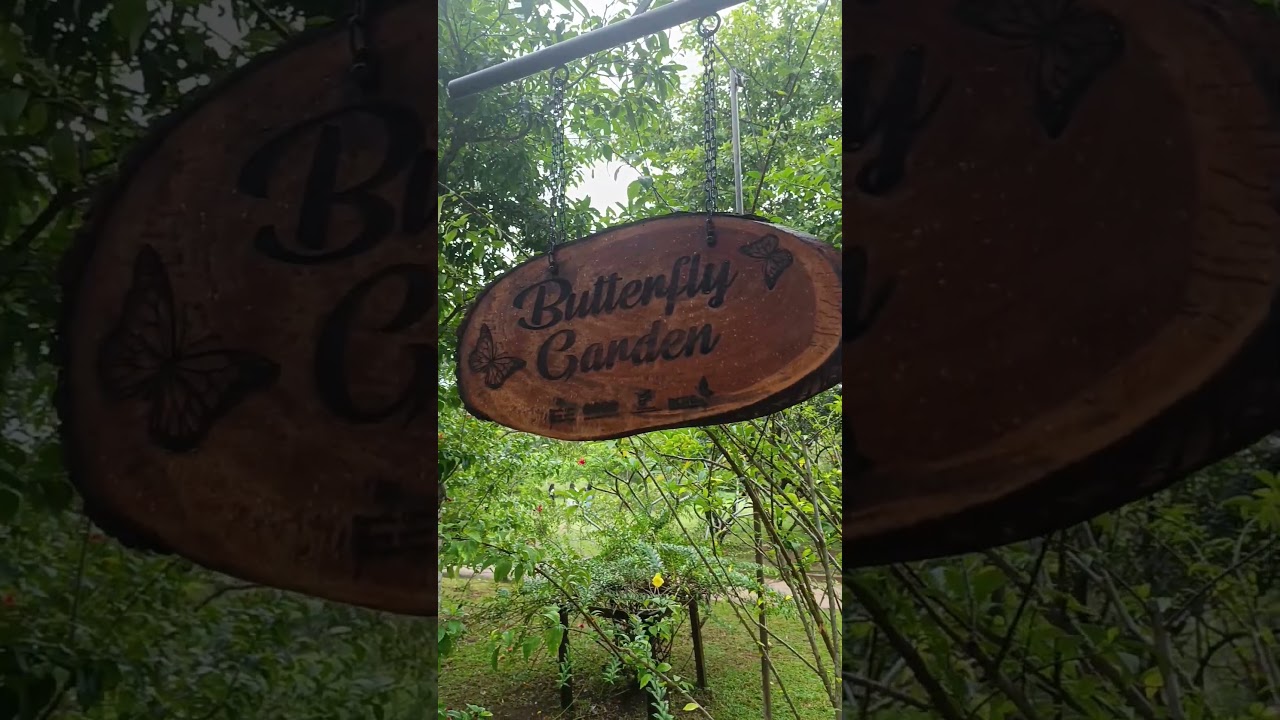 YouTube Short thumbnail